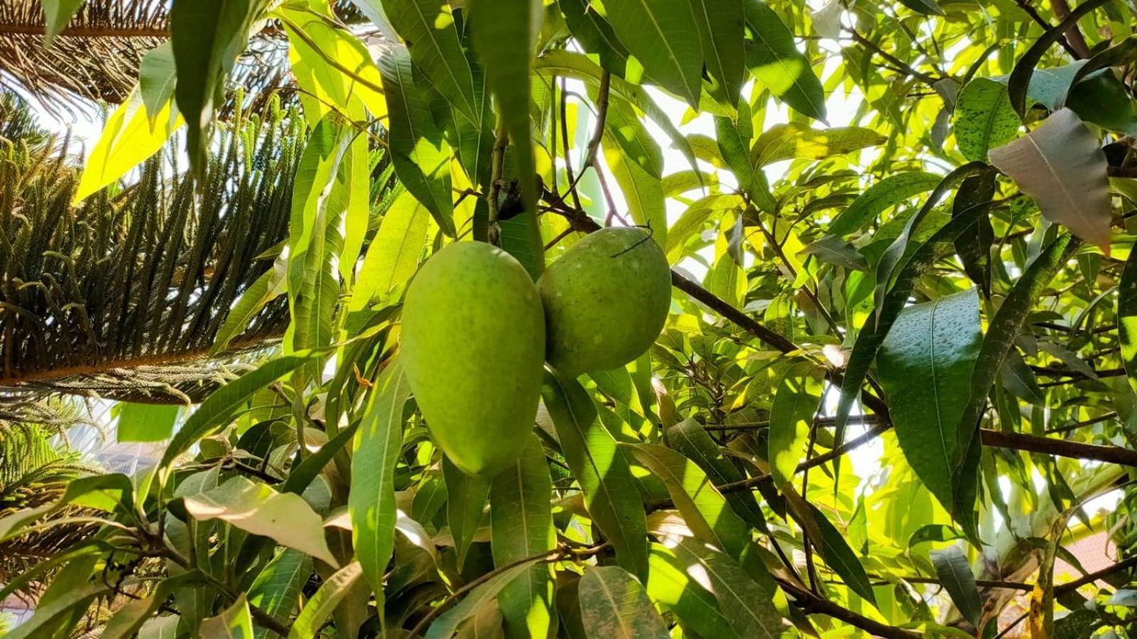 Villa Kikiriki Kigali Zewnętrze zdjęcie